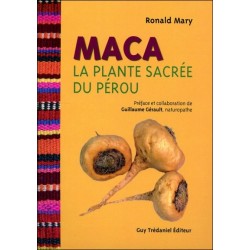 Maca - La plante sacrée du Pérou