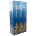 Encens Spiritual Guide 10 grammes - 