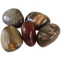 Pierres Roulées - Bois Pétrifié ou Agate Xyloïde _ Vendu à l'unité