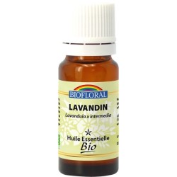 Lavandin - 10ml - bio