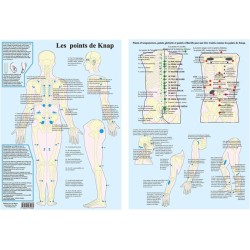 Les points de Knap - Planche recto/verso