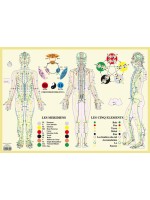 Méridiens et 5 éléments