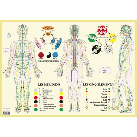 Méridiens et 5 éléments