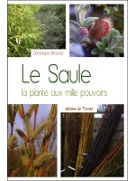 Le Saule - La plante aux mille pouvoirs