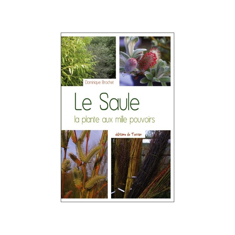 Le Saule - La plante aux mille pouvoirs