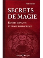 Secrets de magie - Esprits servants et magie égrégorique