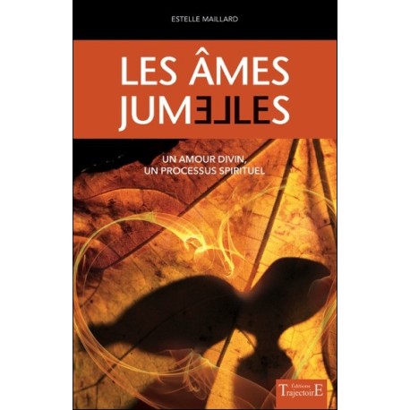 Les âmes jumelles - Un amour divin - Un processus spirituel