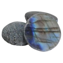 Galet Labradorite 1 face polie - Lot de 10