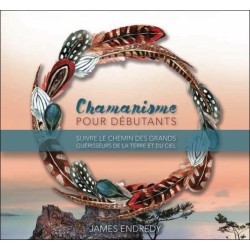 Chamanisme pour débutants - Suivre le chemin des grands guérisseurs de la terre et du ciel - Livre audio