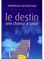 Le destin - Une chance à saisir