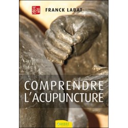 Comprendre l'acupuncture