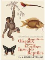 Les planches du Dictionnaire d'Histoire Naturelle - Coffret 5 vol.