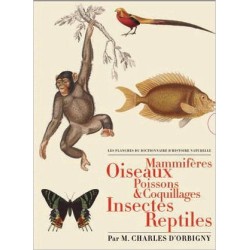 Les planches du Dictionnaire d'Histoire Naturelle - Coffret 5 vol.