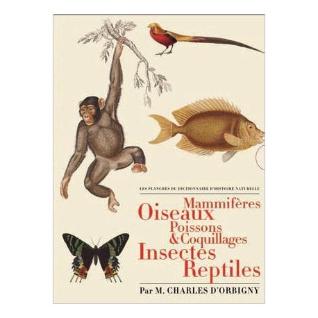 Les planches du Dictionnaire d'Histoire Naturelle - Coffret 5 vol.