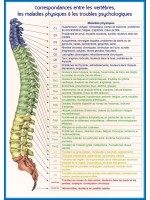 CORRESPONDANCES ENTRE LES VERTEBRES PLANCHE A4