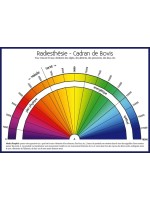 RADIESTHESIE CADRAN DE BOVIS PLANCHE A4