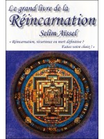 Le grand livre de la Réincarnation