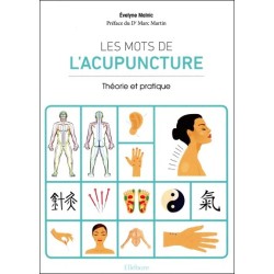 Les mots de l'acupuncture - Théorie et pratique