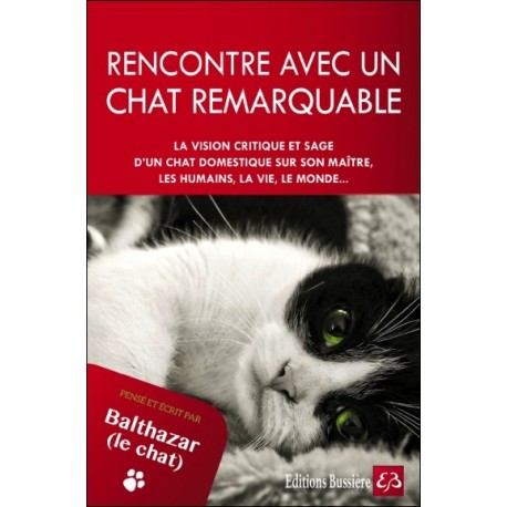 Rencontre avec un chat remarquable - Pensé et écrit par Balthazar le chat