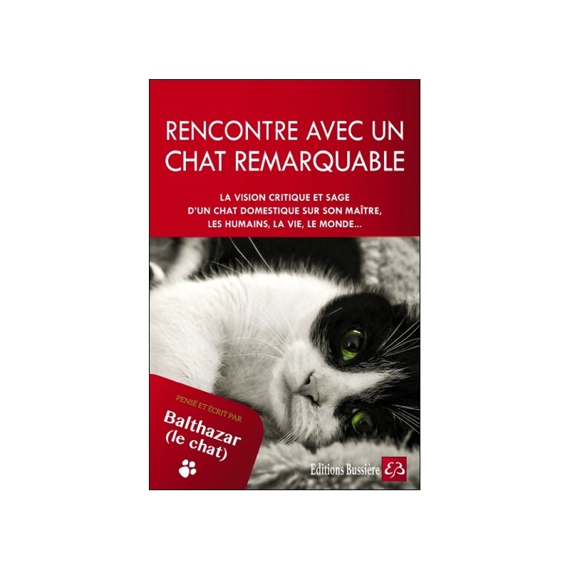 Rencontre avec un chat remarquable - Pensé et écrit par Balthazar le chat