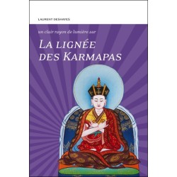 La lignée des Karmapas