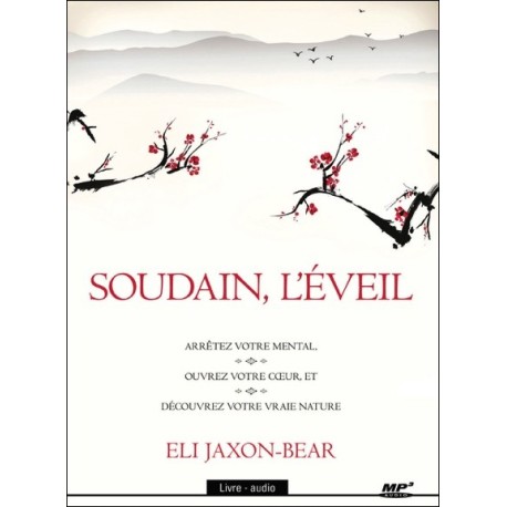 Soudain l'éveil - Livre audio CD MP3