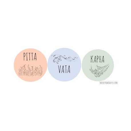 AYURVEDA AYURVEDA