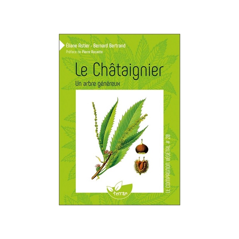 Le Châtaignier - Un arbre généreux