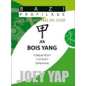 Bazi Profilage - Les Dix Maîtres du Jour - Jia : Bois Yang