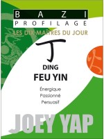 Bazi Profilage - Les Dix Maîtres du Jour - Ding : Feu Yin