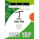 Bazi Profilage - Les Dix Maîtres du Jour - Ding : Feu Yin