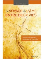 Le voyage de l'âme entre deux vies - Transferts de conscience, réincarnation et immortalité