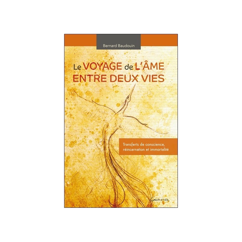 Le voyage de l'âme entre deux vies - Transferts de conscience, réincarnation et immortalité