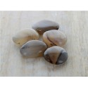 Pierres amulettes Agate - Lot de 5