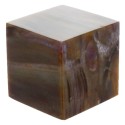 Cube Bois Fossile/Silicifié