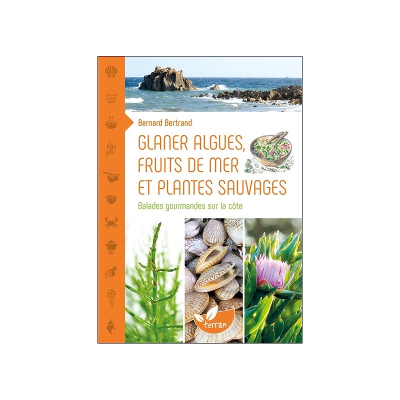 Glaner algues, fruits de mer et plantes sauvages - Balades gourmandes sur la côte
