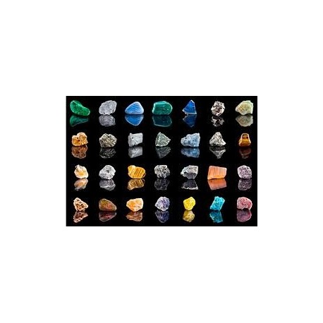 ATELIER LITHO - JUNIOR ATELIER LITHO - JUNIOR