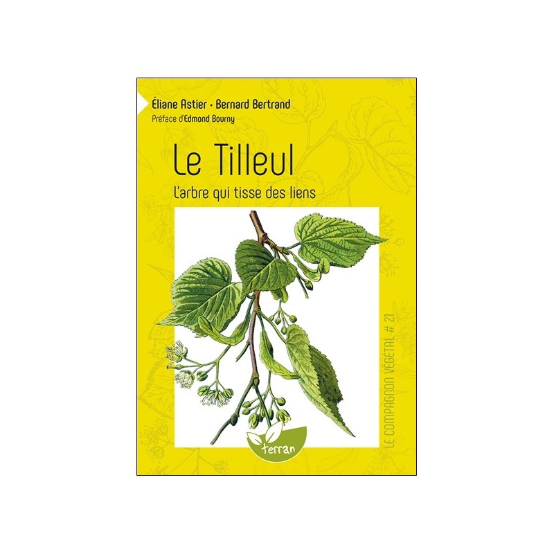 Le Tilleul - L'arbre qui tisse des liens - Le Compagnon végétal n°21