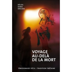 Voyage au-delà de la mort