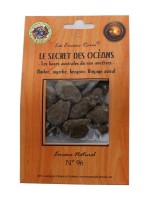 Encens rares : Le Secret des Océans - Les bases australes de nos ancêtres - Voyage astral - 25 gr.