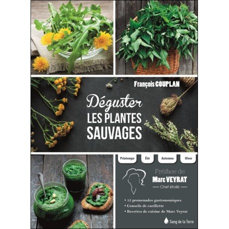 Déguster les plantes sauvages