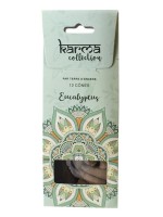 Encens Karma Collection Cônes Eucalyptus