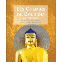 Les Chemins du Bouddha - Un pèlerinage