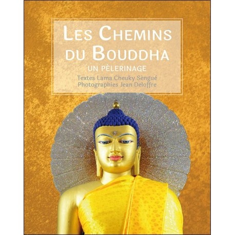 Les Chemins du Bouddha - Un pèlerinage