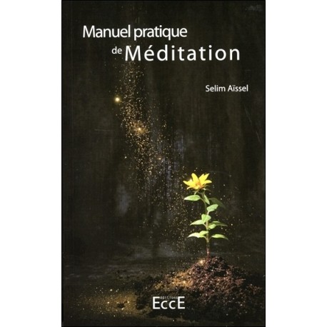 Manuel pratique de Méditation