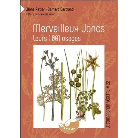 Merveilleux Joncs - Leurs 1001 usages - Vol. 22