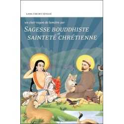 Sagesse bouddhiste et sainteté chrétienne - Un clair rayon de lumière sur