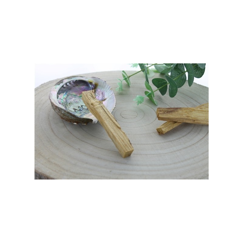 Palo Santo Green Tree  Bâtonnets Sachet de 100 g