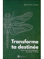 Transforme ta destinée - Tout ce qu'il faut comprendre pour passer à l'action