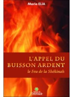 L'Appel du Buisson ardent - Le Feu de la Shékinah